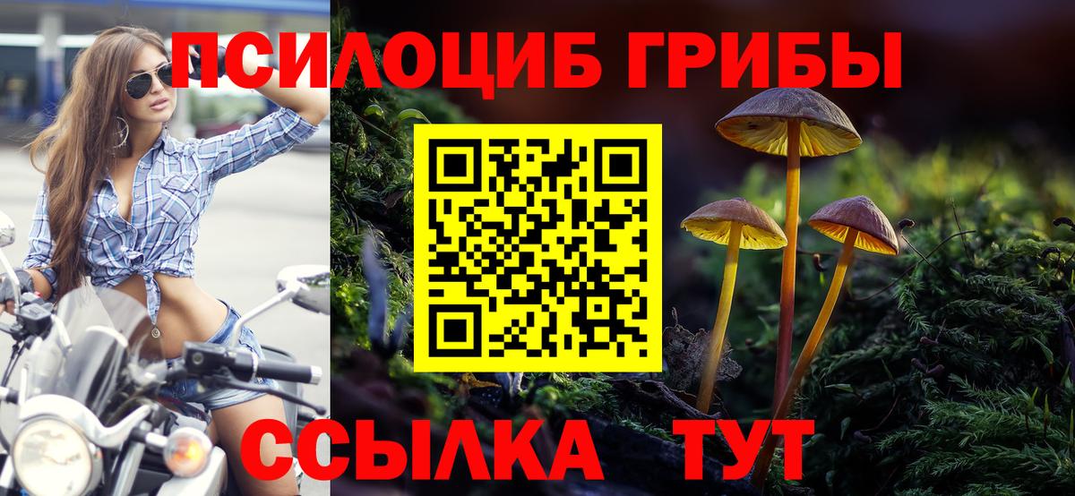 Галлюциногенные грибы GOLDEN TEACHER  Вход с VPN  Волгодонск 