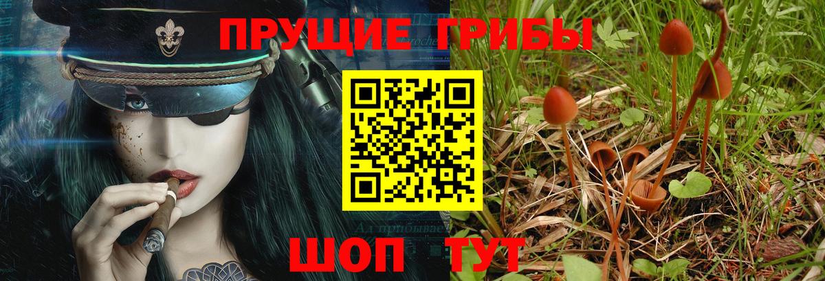 Галлюциногенные грибы прущие грибы  Волгодонск 